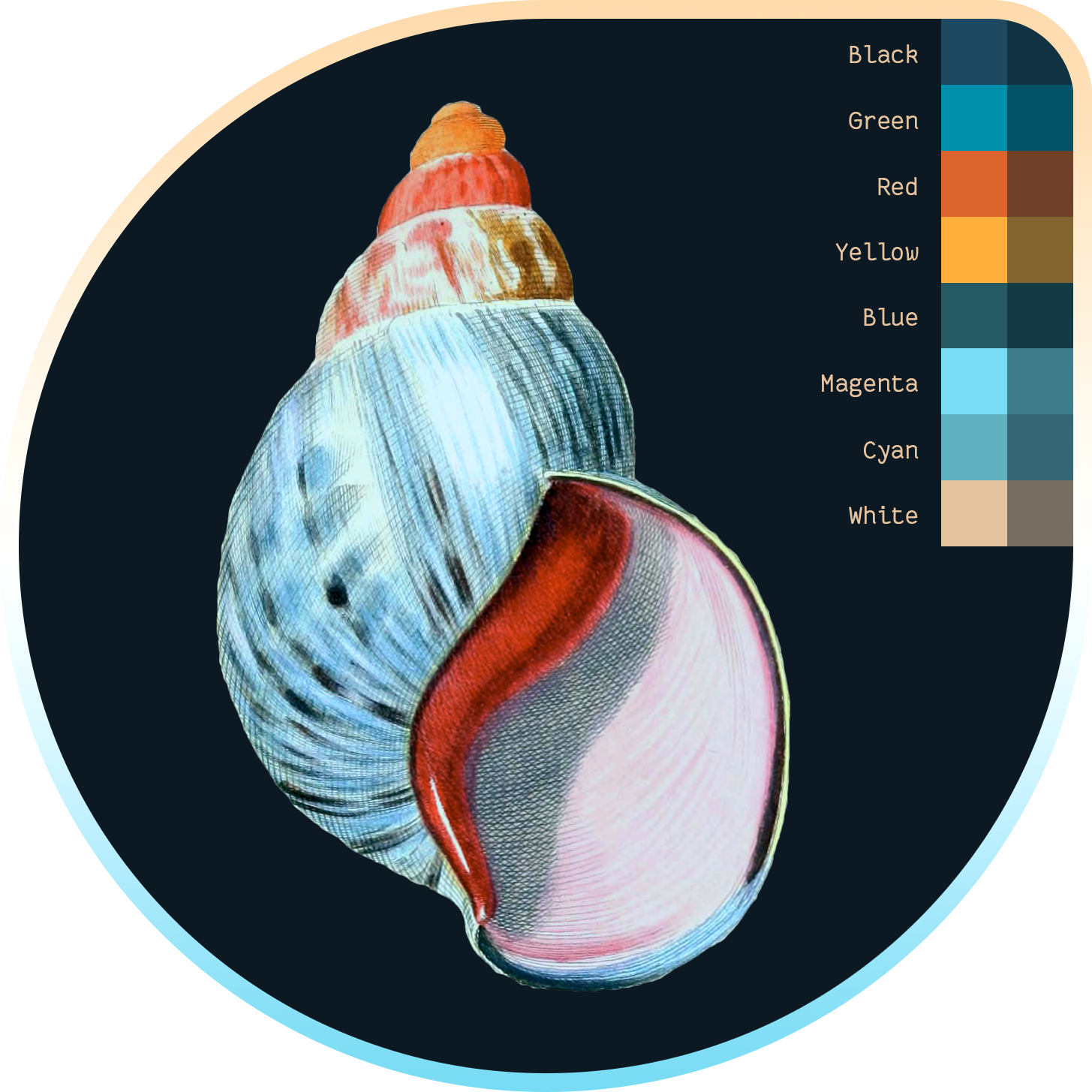 SeaShells Theme Visual Studio Marketplace